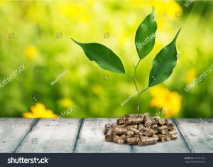 stock-photo-biomass-307657091